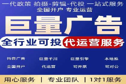 大型SEM服务公司案例分析